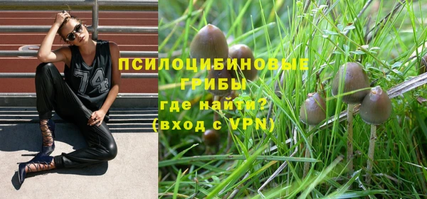 спайс Баксан