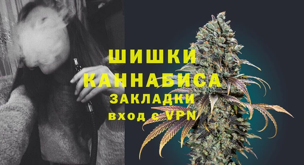 спайс Баксан